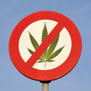 City defends right to ban marijuana