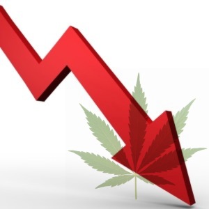 Latest polls show support of marijuana legalization plummeting