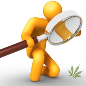 Looking closer at marijuana commercialization